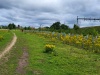 2.5 km ...before it emerges onto \"The Moor\", leading to South Stoke. This is the site of some of the first Mend The Gap planting adjacent to the newly-electrified railway.
