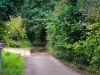 Off-route at 3.2 km Ferry Lane, South Stoke