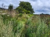 3.4 km ...that appears to have a permissive dog-walkers\' path around its perimeter.