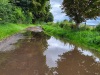5.4 km From Little Stoke Manor Farm to Little Stoke Manor, The Ridgeway follows a tarmac road, though the drainage needs to be improved.