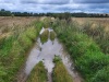 6.1 km This stretch of bridleway manages to be both muddy and rocky at the same time (and this is August!)
