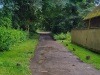 7.0 km At the end of the street in North Stoke, tarmac gives way to bridleway once more.