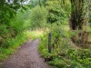 7.8 km At the end of the golf course The ridgeway path narrows and wiggles through woodland adjacent to the grounds of the historic former Carmel College and Mongewell Park.