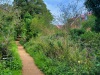 8.8 km The developer has paid to upgrade the surface of the bridleway...
