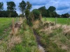 9.5 km This bridleway is narrow, overgrown and bumpy in the summer (and sometimes muddy) and very muddy in the winter.