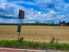 Off-route  Looking west from the B4009 on the south side of North Stoke. The preferred GWR alignment runs along the far side of the field.
