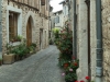 Castelnau-de-Montmiral 2