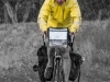 Frank in the wet