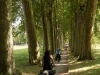 Near Avignonet-Lauragais