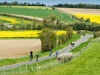 Cyclists near Ipsden